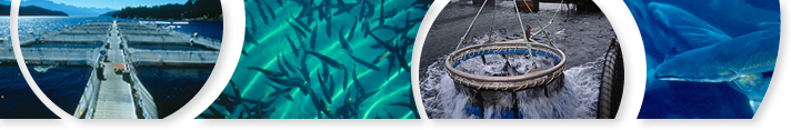 Aquaculture